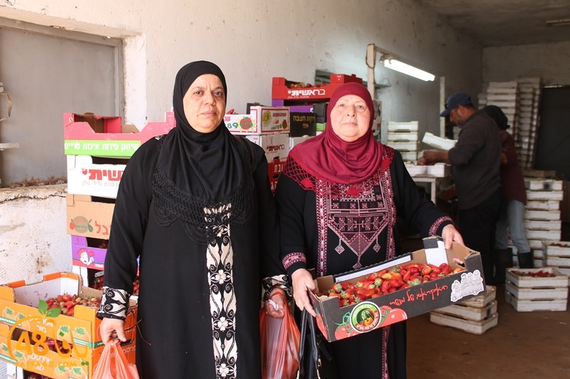 a7bab aqsa farawla (40).JPG